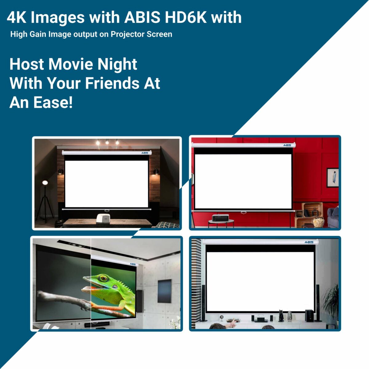 100’ Manual Projector Screen & Projector  Bundle - ABIS