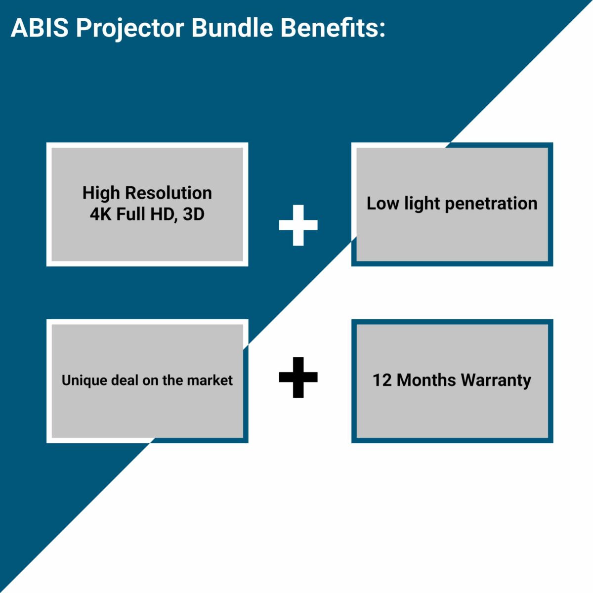 100” Electric Projector Screen & Projector Bundle - ABIS