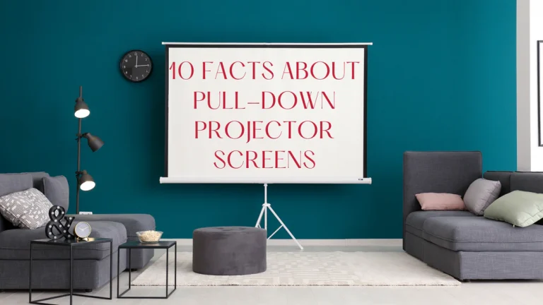 10 Facts About Pull-Down Projector Screens